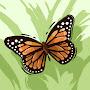 @LovelyMonarchButterfly-hg7cy