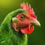 @sparethechickens