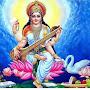 @knowledgeplanet8687