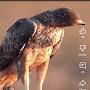 @AbhishekRajput-c7j9t
