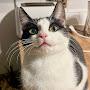 @Bellcat2022
