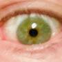 @GreenEyedRogue
