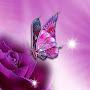@RohitRathore-i6m