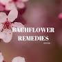 @bachflowerremediesmalayalam