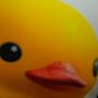 @PotatoDuck-885