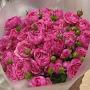 @gm78911