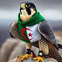 @ahcenekehil3689