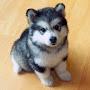 @bluewolf3266