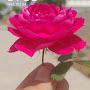 @AfaqKhan-me9ly