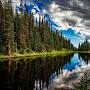 @avimoyal149