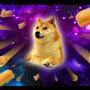 @corgigod8235