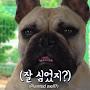 @황소-f3w