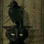 @anubis9740