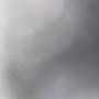 @jyxtermaddox5199
