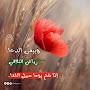 @hamidaellafi8539