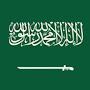 @DULEM_Alahmari