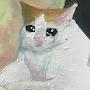 @김두식-w3z