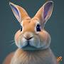 @BusterRabbit-x2g