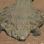 @justsomeserpentwithinterne2953