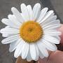 @Leshy_yeah