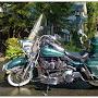 @xraybuss53