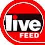 @livefeedglobal