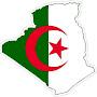 @bachiralgeria2344