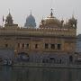 @nehagoyal7816