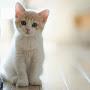 @HaticeZeynepAydın