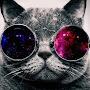 @cybercat6164