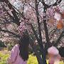 @ransangfirst