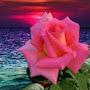 @malinia4380