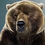 @oleg_ant