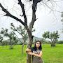 @sheetalchoudhary0260
