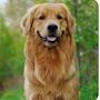 @familykoster-1735
