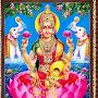 @pawarhnilesh