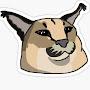 @floppa_thecat123