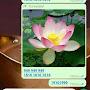 @JatinderSingh90-c6t