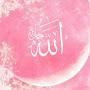 @alilouacademy7961