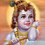 @jyotipatel7533