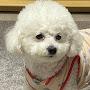 @메리메리쫑-n4h