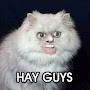@CoryI
