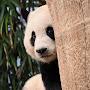 @곰곰이-e6t