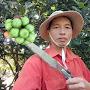 @laonongtrendinhdk