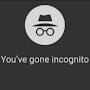 @IAm.Incognito