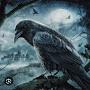 @Raven-t4w