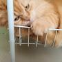 @Moraycat