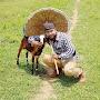 @publicjindabad7848