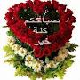 @hayatmohammedamin3109