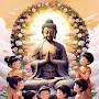 @Youtube-follw